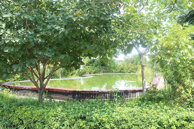 拼搏在线官网-拼搏(中国)机械厂区环境优美